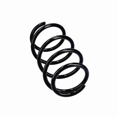 ARC SPIRAL EIBACH R20284 12