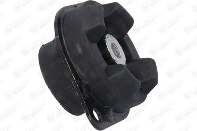 SUPORT MOTOR BIRTH 5630 10
