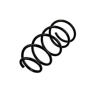 ARC SPIRAL EIBACH R10393 3
