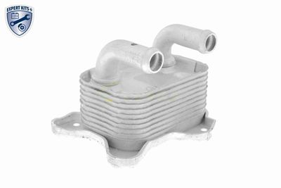 RADIATOR ULEI ULEI MOTOR VEMO V40602103 9