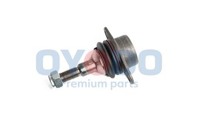 Šarnyras / girgždukas