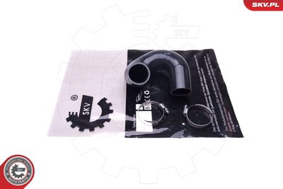 FURTUN EAR SUPRAALIMENTARE