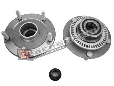 GT-BERGMANN Automotive Rato guolio komplektas