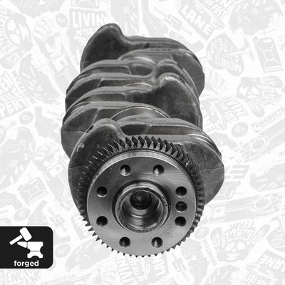ARBORE COTIT ET ENGINETEAM HK0183 4