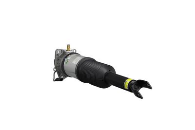 LUFTFEDERBEIN Arnott AS2958 32