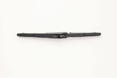 WISCHBLATT CONTINENTAL 2800011536180 13