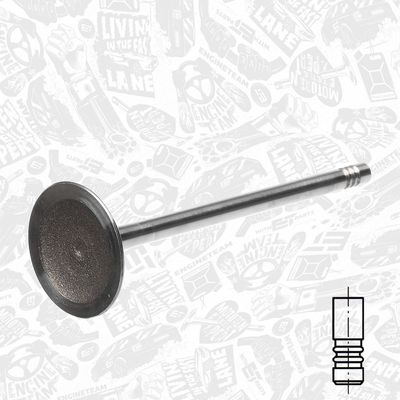 SUPAPA ADMISIE ET ENGINETEAM VI0134 1