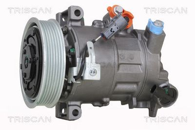 COMPRESOR CLIMATIZARE TRISCAN 902015010 1