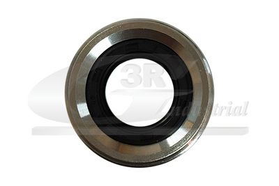 DIRECTIE 3RG 89290 2