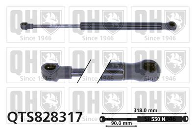 Газовая пружина, заднее стекло QUINTON HAZELL QTS828317 для VW TOUAREG