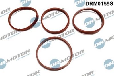 Sada těsnění, koleno sacího potrubí LIZARTE DRM0159S