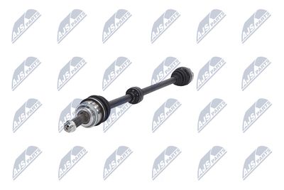 PLANETARA NTY NPWHY620 18