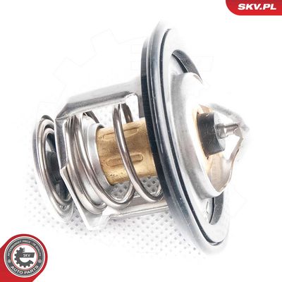 Thermostat, Kühlmittel
