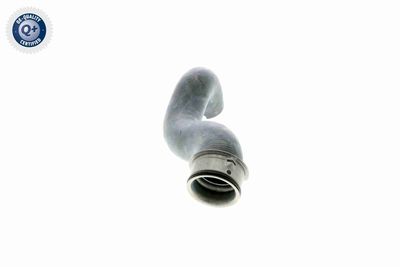 KüHLERSCHLAUCH VAICO V301656 7