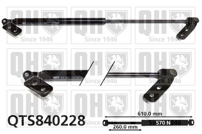 Газовая пружина, крышка багажник QUINTON HAZELL QTS840228 для MAZDA 626