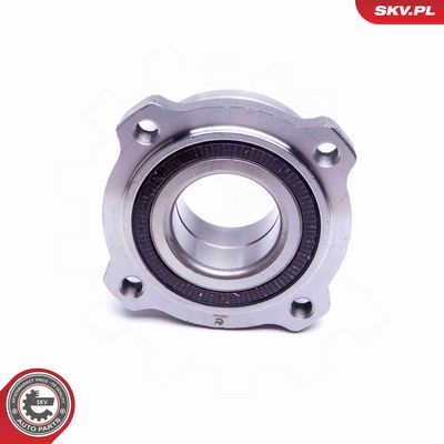 SET RULMENT ROATA ESEN SKV 29SKV391 1