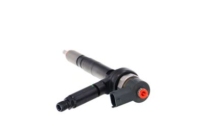 INJECTOR REMANTE 002003001190R 21