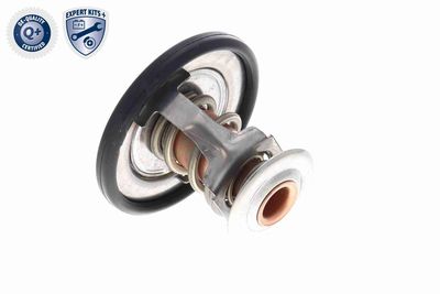 TERMOSTAT LICHID RACIRE ACKOJA A70990031 7