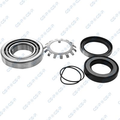 SET RULMENT ROATA GSP GK1956