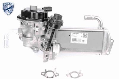Module-EGR VEMO
