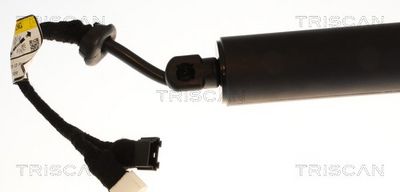Plynárenská vzpera (pneumatická pružina), zavazadlový priestor TRISCAN 8710 11385