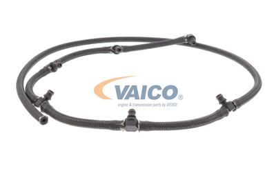 SCHLAUCH LECKKRAFTSTOFF VAICO V203609 41