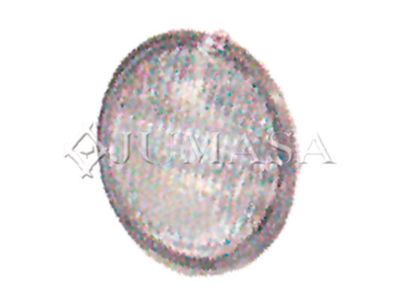 Противотуманная фара JUMASA 38711655 для HYUNDAI H-1