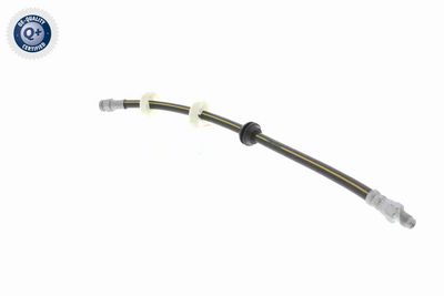 BREMSSCHLAUCH VAICO V240081 2