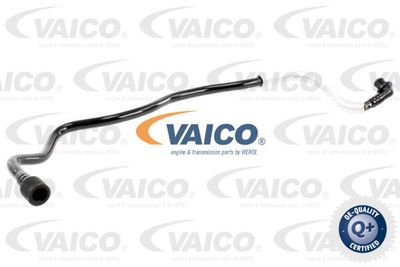 Vakuumslang, bromssystem VAICO V10-3626