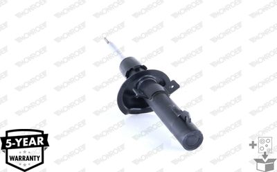 Shock Absorber G16258