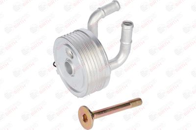 RADIATOR ULEI ULEI MOTOR BIRTH 80138 9