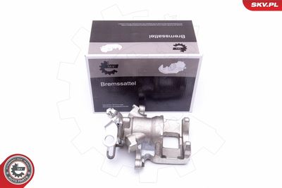 Brake Caliper 50SKV103