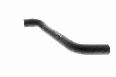 KüHLERSCHLAUCH VAICO V100051 6