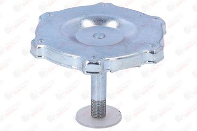 BUSON UMPLERE ULEI BIRTH 8081 8