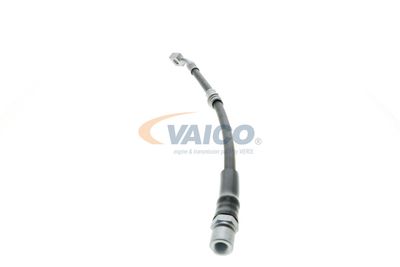 FURTUN FRANA VAICO V404110 27