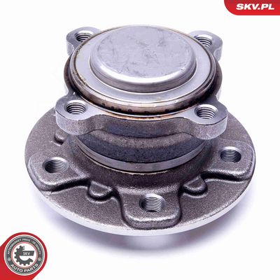 SET RULMENT ROATA ESEN SKV 29SKV303 1