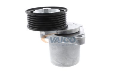 INTINZATOR CUREA CUREA DISTRIBUTIE VAICO V250445 46