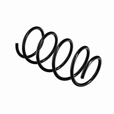 ARC SPIRAL EIBACH R11070 10