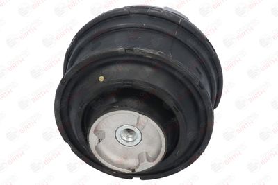 SUPORT MOTOR BIRTH 51192 2