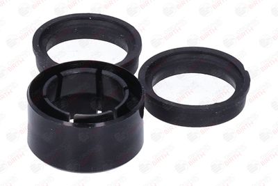 BUCSA ARBORE DE DIRECTIE BIRTH 4142 8