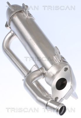 RADIATOR RECIRCULARE GAZE DE ESAPAMENT TRISCAN 881329324 1