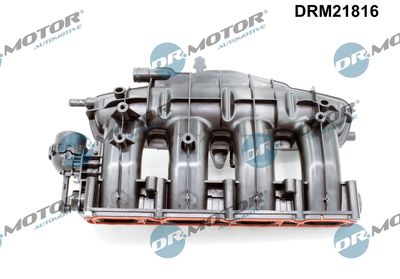 Intake Manifold Module DRM21816