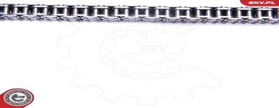 Timing Chain Kit 21SKV216