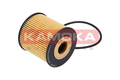 Oil Filter F107801