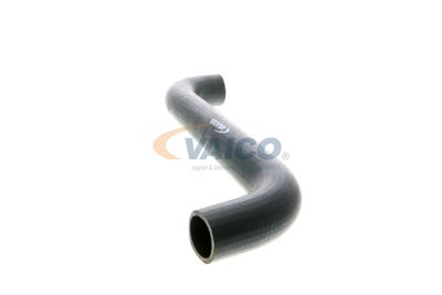 FURTUN RADIATOR VAICO V301767 44