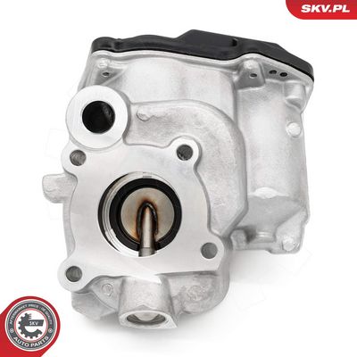 ESEN SKV - AGR - Ventil MERCEDES-BENZ , 14SKV259