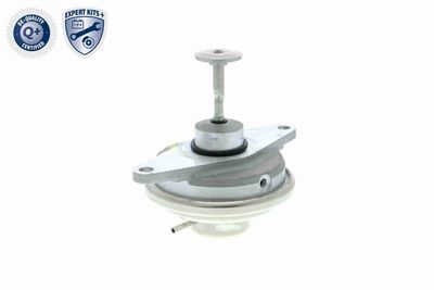 SUPAPA EGR VEMO V406300241 9