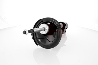 AMORTIZOR GH GH359365 13