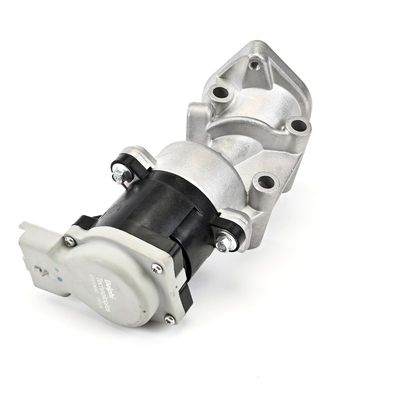 AGR-VENTIL DELPHI EG1064012B1 9