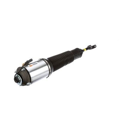 LUFTFEDERBEIN Arnott AS2560 37